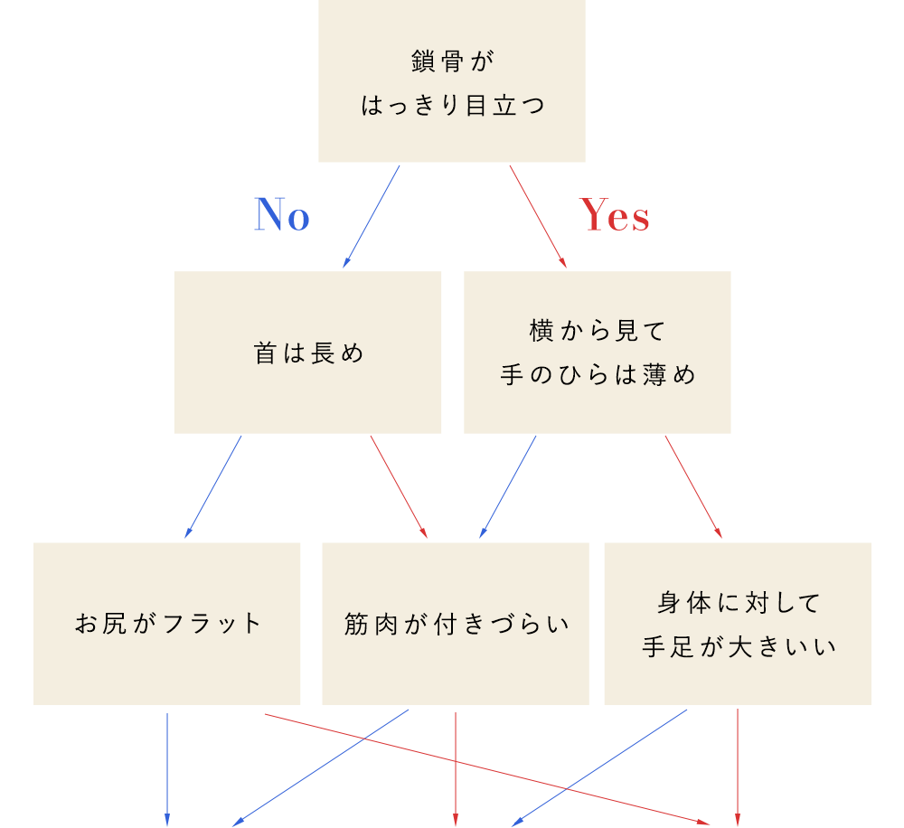 骨格診断