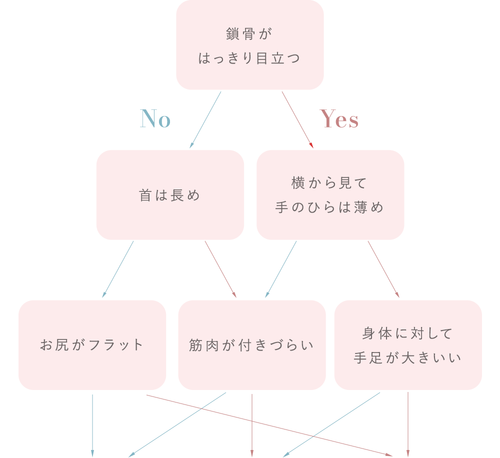 骨格診断